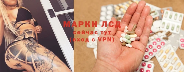 прущая мука Вяземский