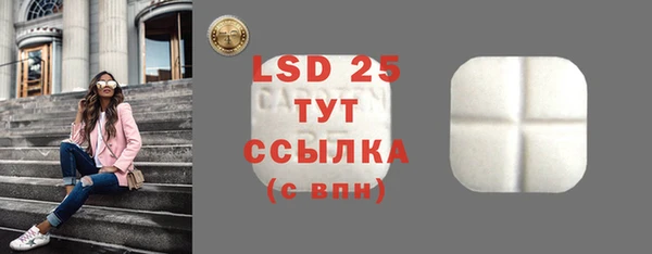 прущая мука Вяземский