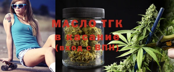прущая мука Вяземский