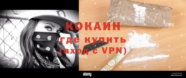 прущая мука Вяземский