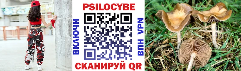 нарко площадка состав  гидра зеркало  Галлюциногенные грибы Psilocybe  Ноябрьск  сколько стоит 