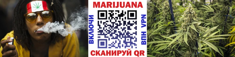 Бошки марихуана план  сколько стоит  Ноябрьск 